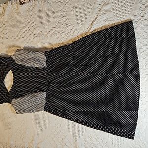 The Limited size 2 skater type dress